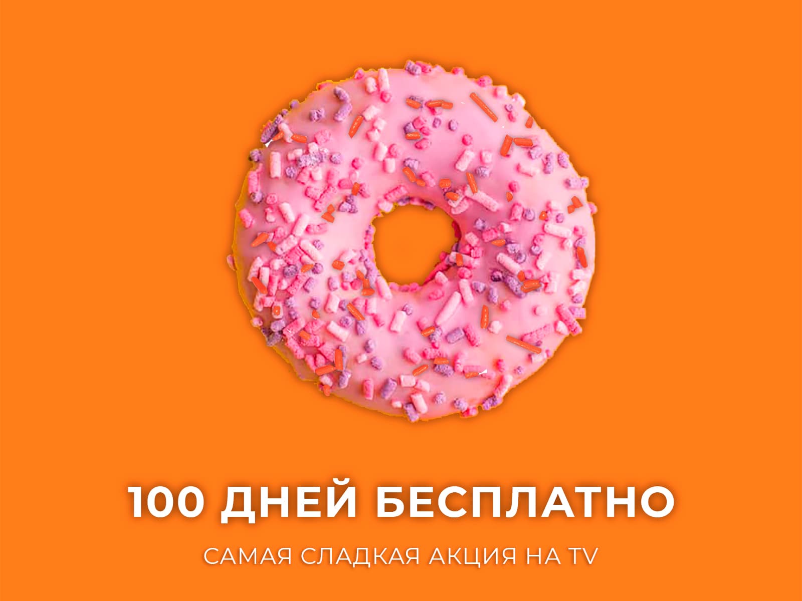 100 дней 100 фото